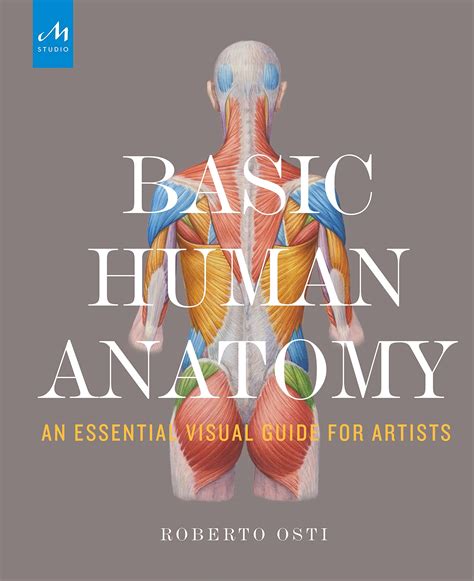 Galleon - Basic Human Anatomy: An Essential Visual Guide For Artists