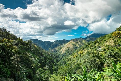 Best hikes in Jamaica - Lonely Planet