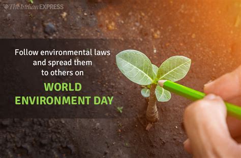 World Environment Day 2019: Theme, Slogans, Quotes, Images, Status ...