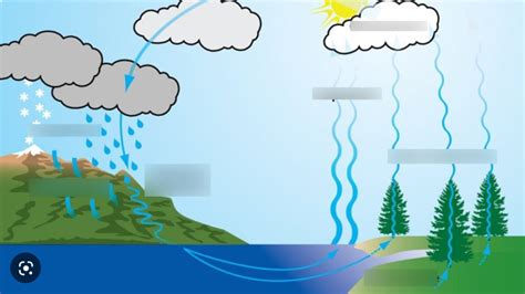 The Hydrosphere Diagram | Quizlet