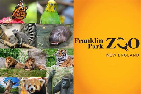 Franklin Park Zoo tickets discount | Boston | Undercover Tourist