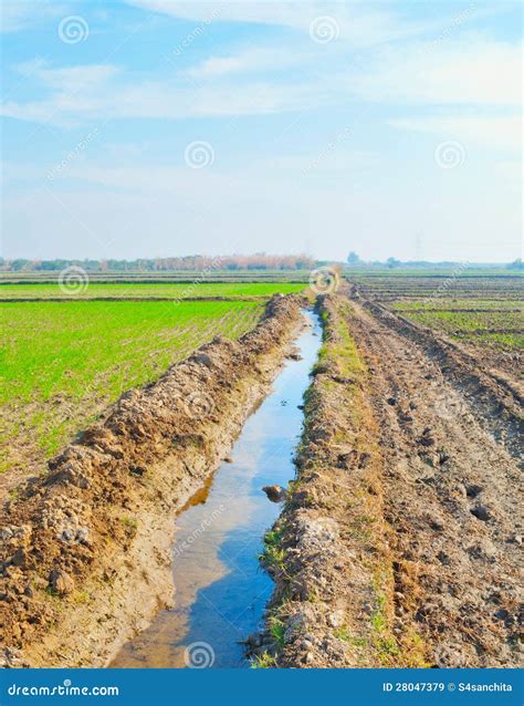 Irrigation Canal Stock Photo | CartoonDealer.com #26310948