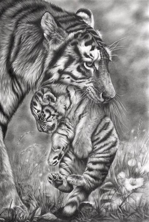 Pin by Michelle Smith on Paints | Pencil drawings of animals, Realistic ...