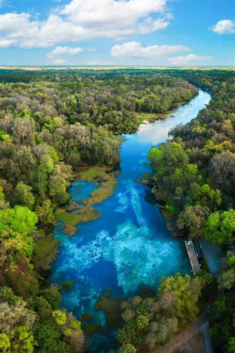 Tips for Rainbow Springs State Park: A Florida Oasis - Florida Trippers