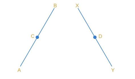 Introduction to Euclid's Geometry Class 9 Extra Questions | 88Guru