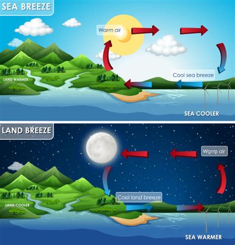 Difference between Land breeze and Sea breeze - CBSE Class Notes Online ...