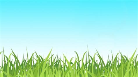 Details 100 cartoon grass background - Abzlocal.mx