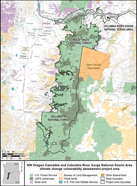 Mt Hood National Forest Map - Vector U S Map