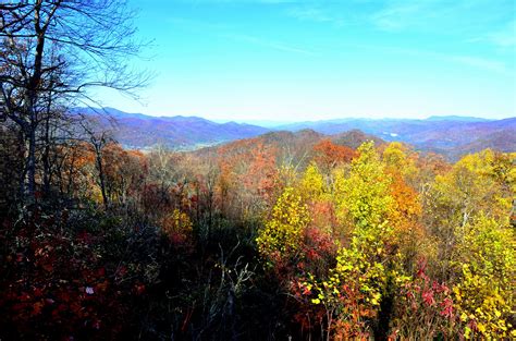 Pin by Beechwood Inn on Fall in the North Georgia Mountains | Georgia ...