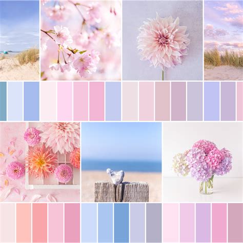 Colour Palette Inspiration — Beautiful Simplicity