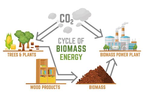 What is Biomass Energy? and How Biomass Energy is Generated ...