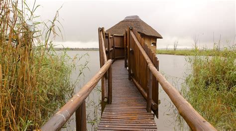 Rietvlei Nature Reserve in Johannesburg - Gauteng | Expedia