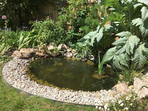 How To Build A Wildlife Pond :: Part 2 – The Small Gardener | Fish pond ...