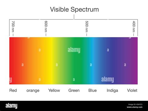 Chart of Visible spectrum color Stock Vector Art & Illustration, Vector ...