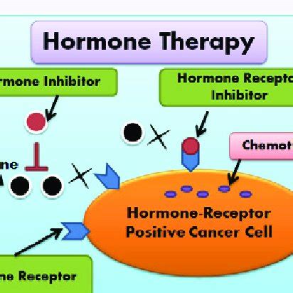 Schematic representation of the immunotherapy based on the monoclonal ...