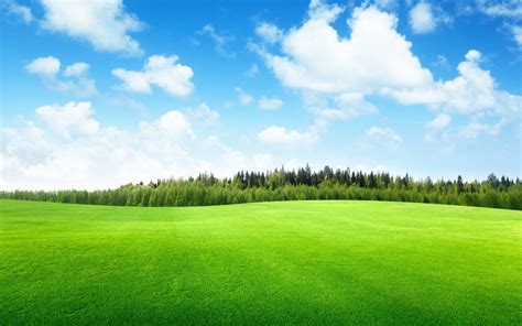 Wallpaper : landscape, nature, grass, sky, field, green, horizon ...