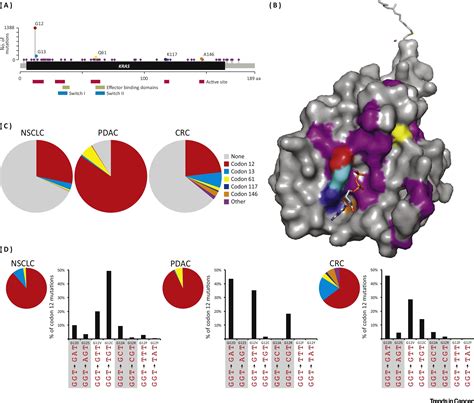 KRAS Alleles: The Devil Is in the Detail: Trends in Cancer