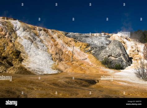 Geology of thermal hot springs at Mammoth Yellowst Stock Photo - Alamy