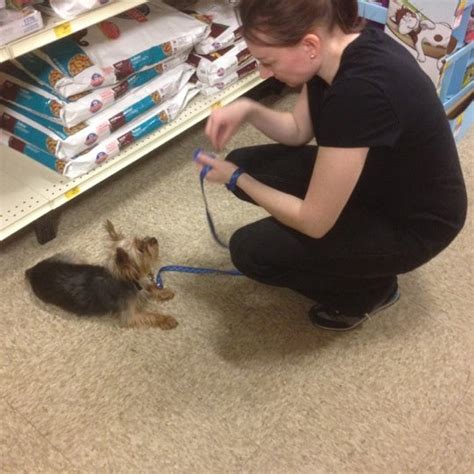 PetSmart - Owings Mills, MD