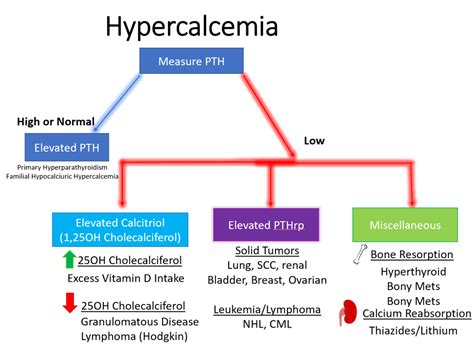 Hypercalcemia Differential Diagnosis Algorithm Elevated Grepmed | The ...