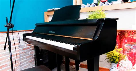 SHOP NHẠC CỤ PIANO & GUITARGIÁ RẺ