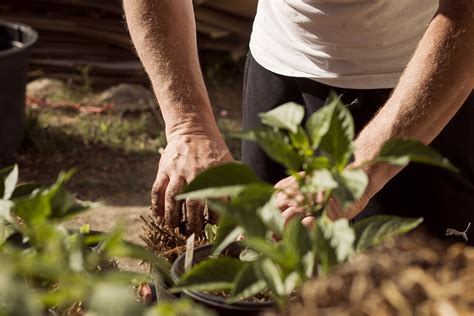 Comment réussir sa fertilisation organique ? – Vins de Loire