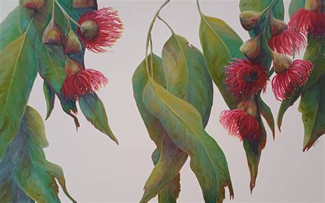 Our flowering gum - Art Lovers Australia