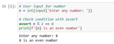 Use of assert statement in Python - Nomidl