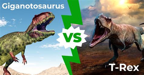 Giganotosaurus vs T-Rex: Who Would Win in a Fight? - AZ Animals