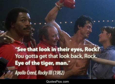 1000+ ideas about Eye Of The Tiger on Pinterest | The Tiger ...