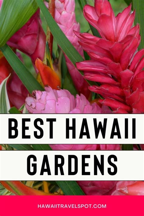 Gorgeous Hawaii Botanical Gardens Worth a Stop (2023) - Hawaii Travel Spot