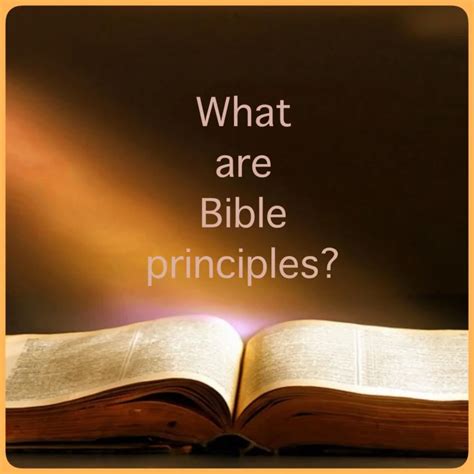 What Are Bible Principles (2024)