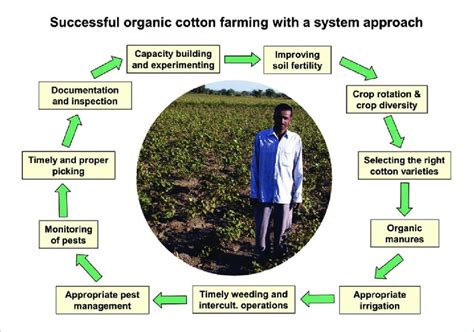 Successful organic cotton farming with a system approach | Download ...