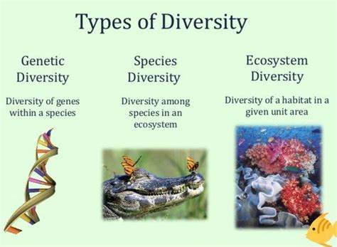 Biodiversity - Definition and Examples - Biology Online Dictionary