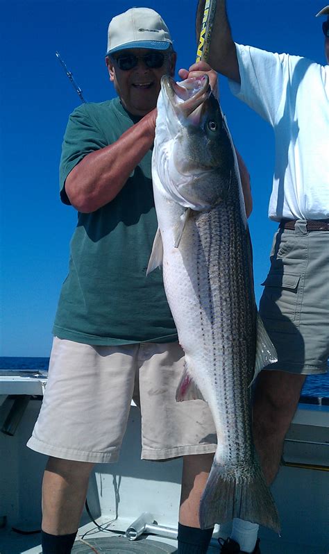 massachusetts striper fishing | Cape Cod Fishing Charters