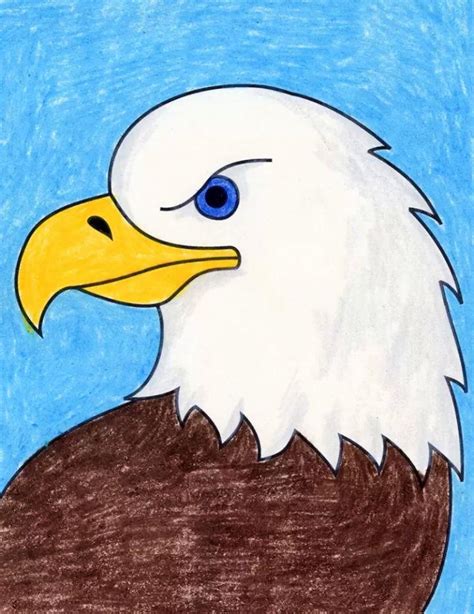 20 Easy Eagle Drawing Ideas – How To Draw An Eagle