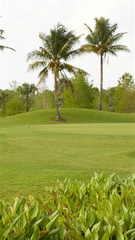 The Best Golf Course Communities in Tampa FL