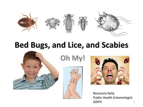 Bed Bugs, and Head Lice, and Scabies - Apicatlanta.org