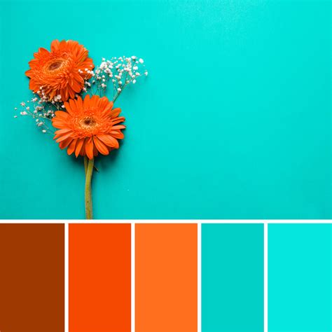 15+ Best Teal Color Palettes (Colors that Go with Teal) – CreativeBooster