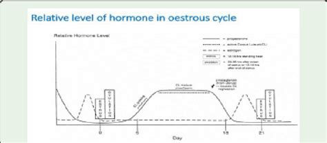 Level of different hormone in estrous cycle [20]. | Download Scientific ...