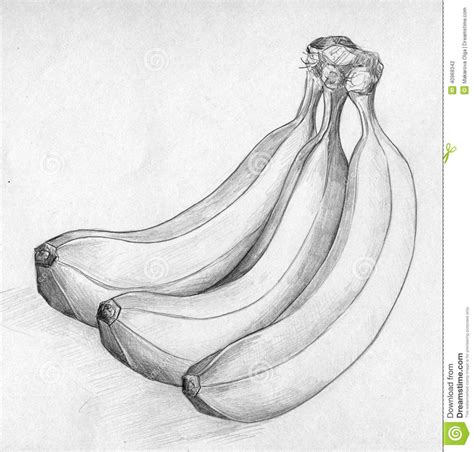 Easy Still Life Drawings in Pencil