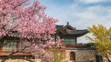 When is the Best Time to Visit South Korea? | Jacada Travel