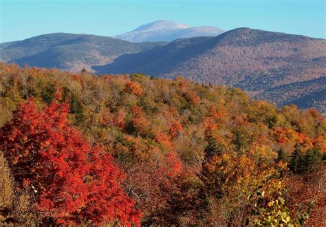 New England Is Losing 65 Acres Of Forestland Per Day, Report Finds ...