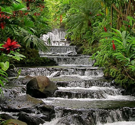 Tabacon waterfall in Costa Rica Photograph by Anna Maria Virzi - Fine ...