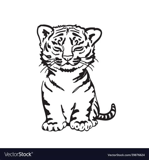 Tiger cub sketch Royalty Free Vector Image - VectorStock