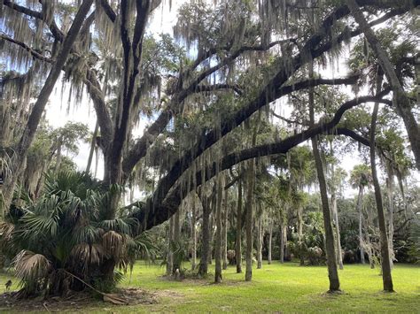 Lake Jesup Park | Stephen Lewis | Flickr