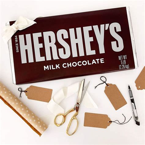 Hershey’s + Hershey’s 5-Pound Chocolate Bar