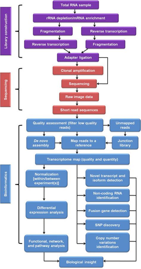 Rna Seq Analysis Pipeline
