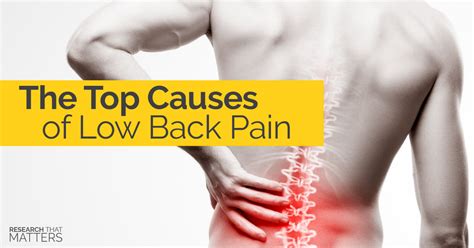 The Top Causes of Low Back Pain - Optimal Wellness Chiropractic