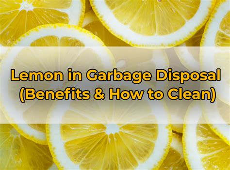 Lemon in Garbage Disposal (Benefits & How to Clean) - PuNk PrOjEcT